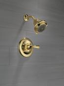 Delta Faucet Polished Brass Single Handle Multi Function Shower Faucet (Trim Only) 