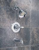 Delta Faucet Chrome Single Handle Multi Function Bathtub & Shower Faucet (Trim Only) 