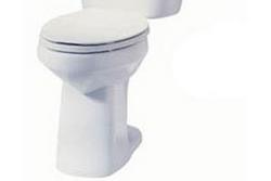 Elongated Toilet Bowl in White