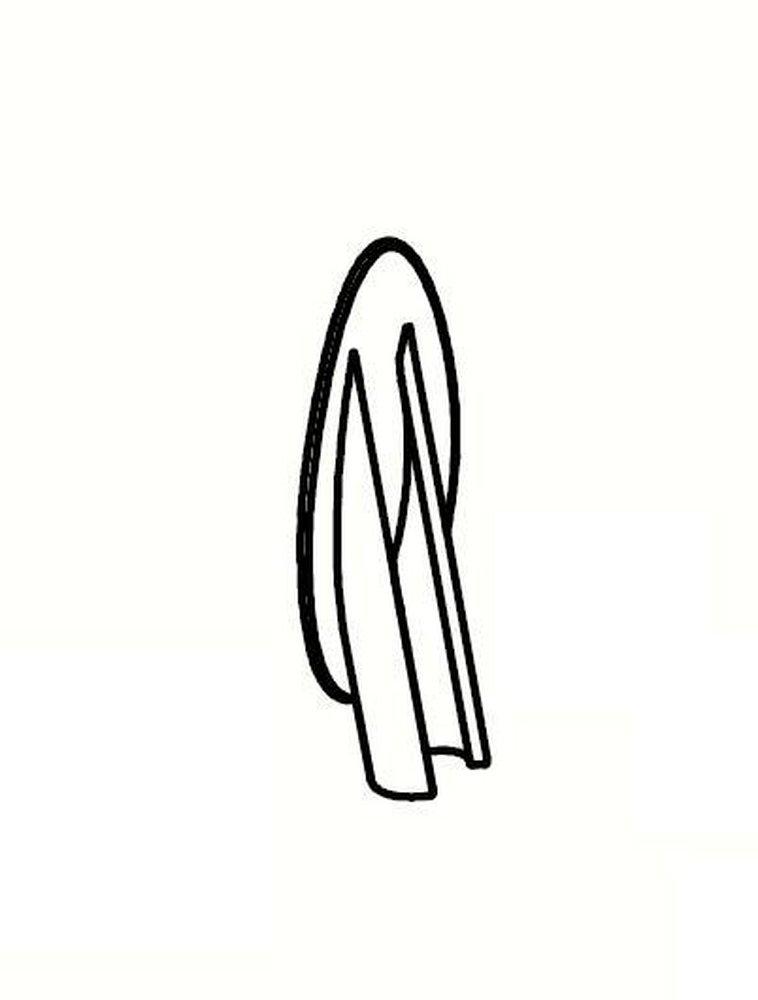 Pfister Polished Brass Stopper 