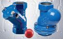 2 in. Cast Iron FNPT Ball Check Valve