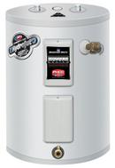 30 gal. 240 V 1500 W Electric Water Heater