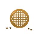 Brass Strainer in Polished Brass