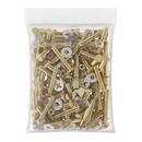 5/16 X 2-1/4 Brass CLT BLT 