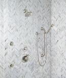 Delta Faucet Stainless 1/2 in. FNPT x MNPSM Solid Brass Elbow 
