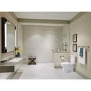 Delta Faucet Stainless 1/2 in. FNPT x MNPSM Solid Brass Elbow 