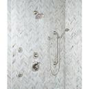 Delta Faucet Stainless 1/2 in. FNPT x MNPSM Solid Brass Elbow 