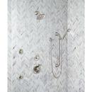 Delta Faucet Stainless 1/2 in. FNPT x MNPSM Solid Brass Elbow 