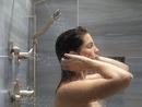 Delta Faucet Stainless 1/2 in. FNPT x MNPSM Solid Brass Elbow 