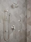 Delta Faucet Stainless 1/2 in. FNPT x MNPSM Solid Brass Elbow 