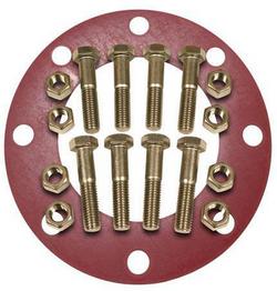 10 in. 150# Red Rubber 304SS 1/8 in. Nut, Bolt & Full Face Gasket Kit