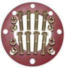 3 in. 304 Stainless Steel Red Rubber 1/8 in. Full Face Flange Package