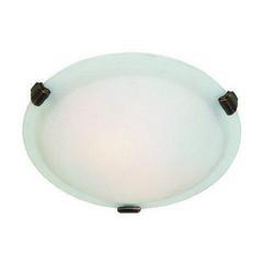 60 W 2-Light Medium Flush Mount Ceiling Fixture in Brushed Nickel
