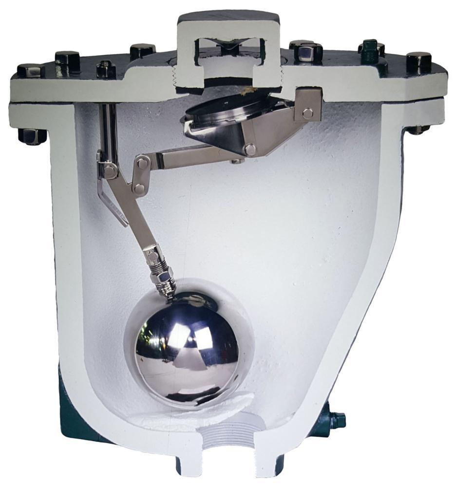 Crispin-Multiplex NPT Cast Iron 300 psi Air Release & Vacuum Valve 
