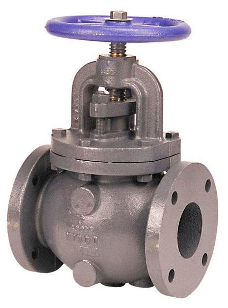 NIBCO Cast Iron Flanged Globe Valve 
