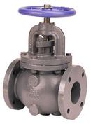 NIBCO Cast Iron Flanged Globe Valve 