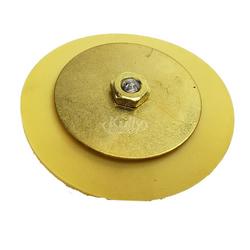 Diaphragm and Plunger Assembly