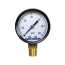 2 FACE Pressure GA 0 - 60# 