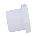 White PVC Schedule 40 Female Bushing 