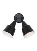 Visual Comfort & Co. Generation Lighting Black 120 W 2 Light Incandescent Flood Light 