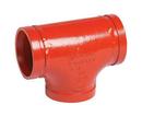 2 in. Grooved Painted Ductile Iron with Tee Plastic Gasket