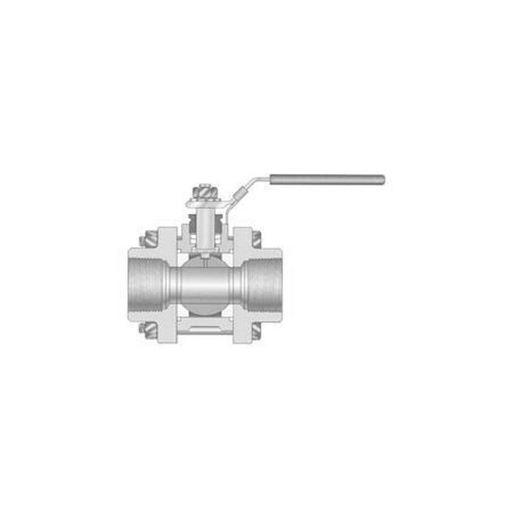 1 Stainless Steel Stainless Steel 1000# Threaded 3 Piece Full Port BV 