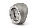 Standard Domestic 304L Stainless Steel Socolet 