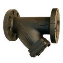 6 in. 250# Cast Iron Flanged Perforated Wye Strainer