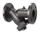 Keckley 125# Cast Iron Flange Perforated Wye Strainer 