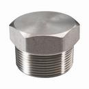1/4 in. Threaded 304L Stainless Steel Hex Head Plug