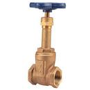 2 in. Bronze Full Port FNPT Gate Valve