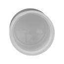 White PVC Schedule 40 Cap 