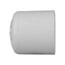 White PVC Schedule 40 Cap 