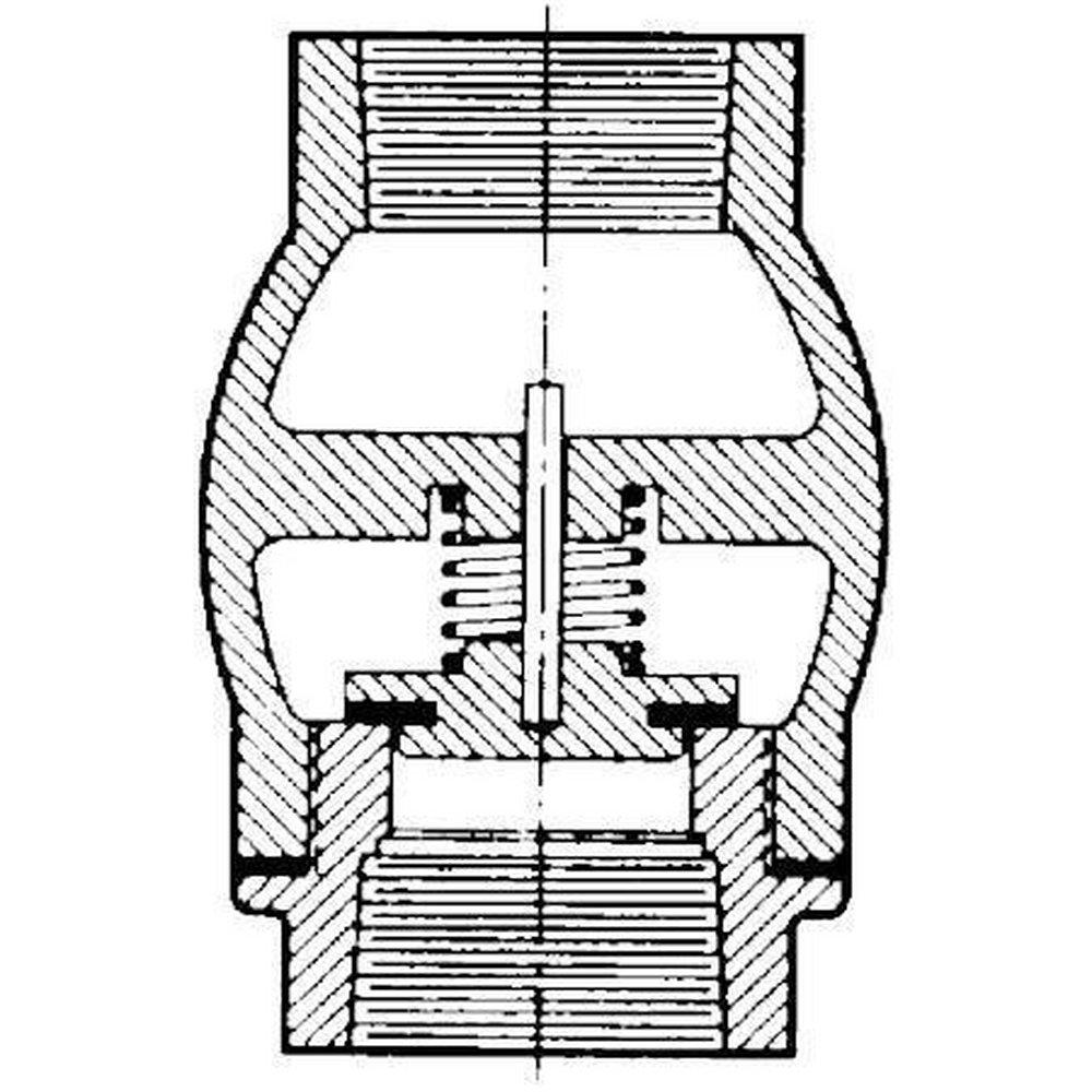 Mueller Steam Specialty Cast Iron Threaded Silent Check Valve 