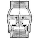 Mueller Steam Specialty Cast Iron Threaded Silent Check Valve 