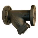 Mueller Steam Specialty Cast Iron Flanged End Perforated Wye Strainer 