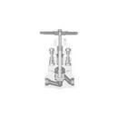 1/2 in. Forged Steel Socket Weld Rising Valve Stem Globe Valve