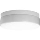 13-7/8 in 26W 2-Light Compact Fluorescent 4-Pin Outdoor Ceiling Fixture in White