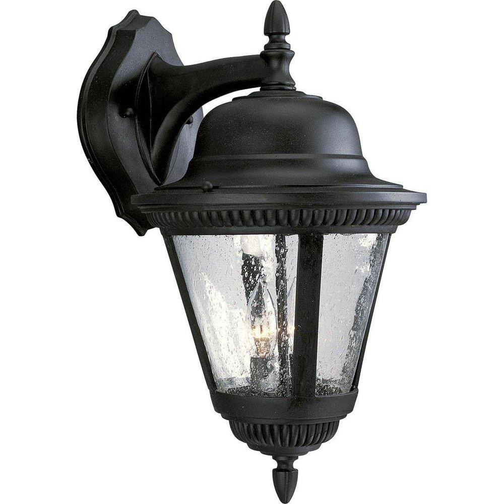 Progress Lighting Textured Black 19-1/4 in. 60W 2-Light Outdoor Wall Lantern 