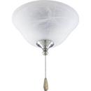 13W 2-Light Ceiling Fan Light Kit in Brushed Nickel