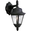 1 Light 60W Outdoor Wall Lantern with Clear Seeded Glass Black