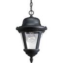 100W 1-Light Hanging Lantern in Black