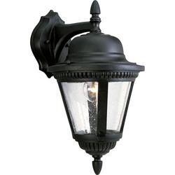 1 Light 100W Outdoor Wall Lantern Black
