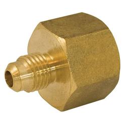 1/4 in. Brass Flare x FIP Coupling