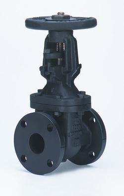 3 in. Cast Iron Flanged Gate Valve