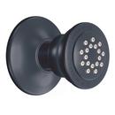 Single Function Body Spray in Wrought Iron