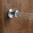 Moen Polished Chrome Body Spray 