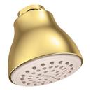 Moen Polished Brass Single Function Full Showerhead 