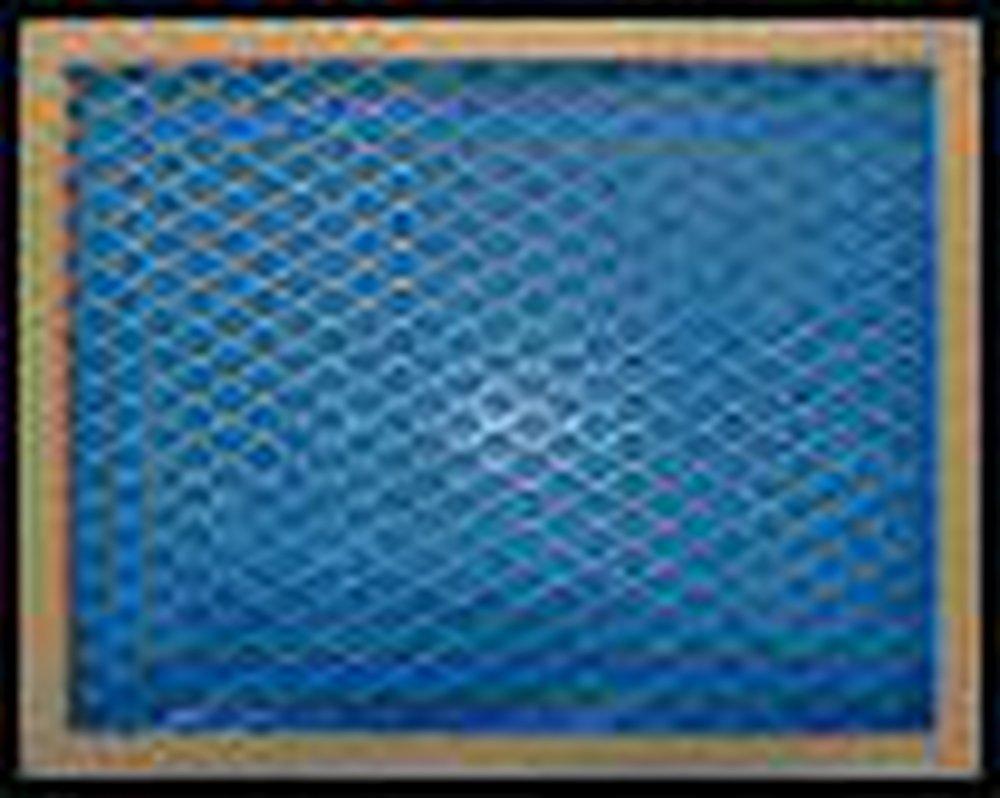 Indigo Filter Company 20 x 30 in. Air Filter Fiberglass MERV 3 