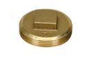 PROFLO&reg; IPS Raised Square Head Brass Plug 